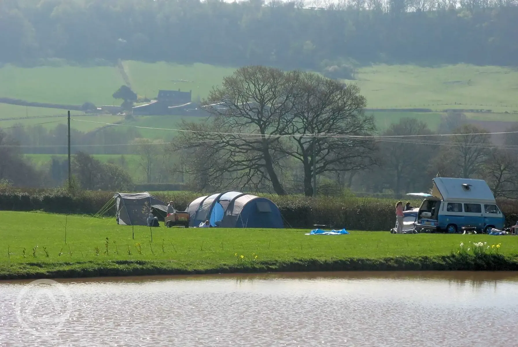 Grass pitches