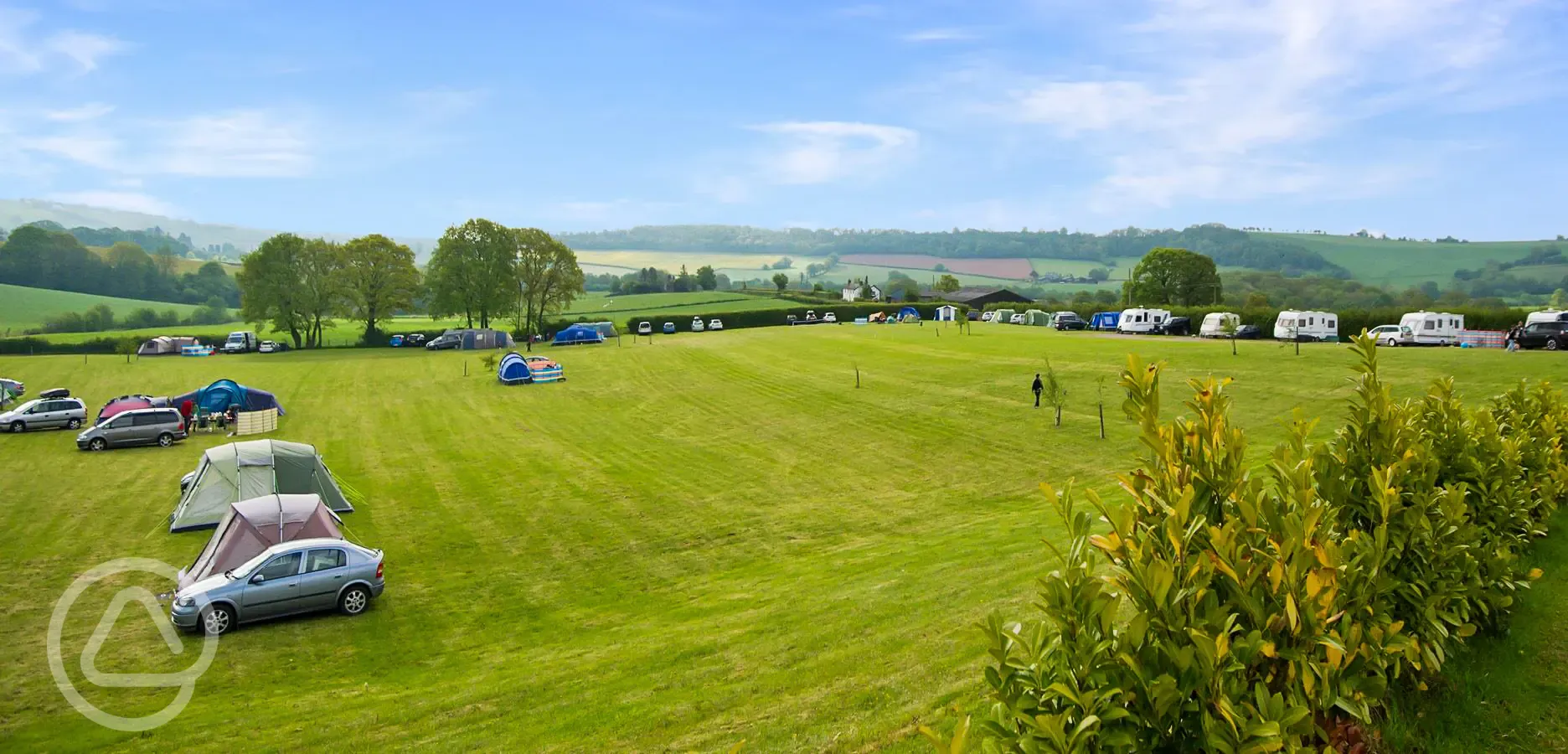 Grass pitches