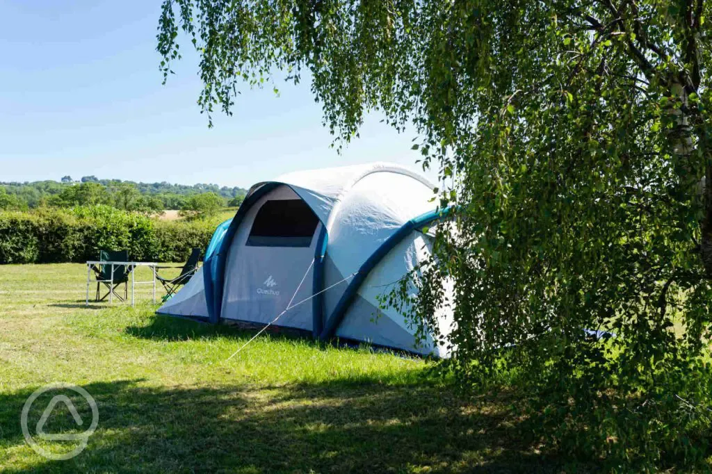 Tent in camping field 