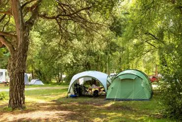 Non electric woodland grass pitches at Burnbake Campsite