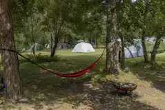 Woodland pitches setting