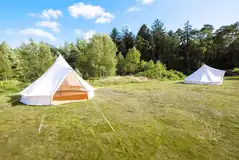 Equipped bell tents (dog friendly)