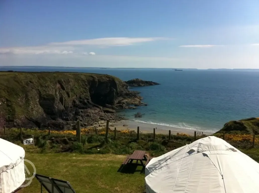 Caerfai overlooking cliff