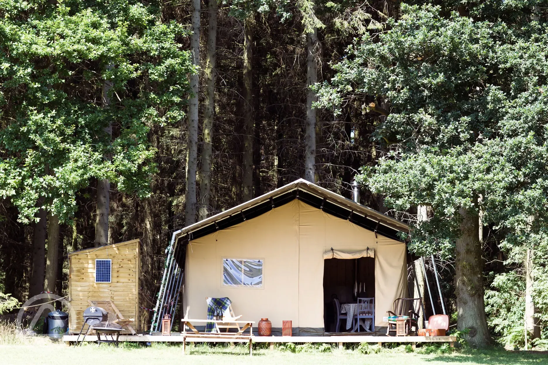 Safari tent 