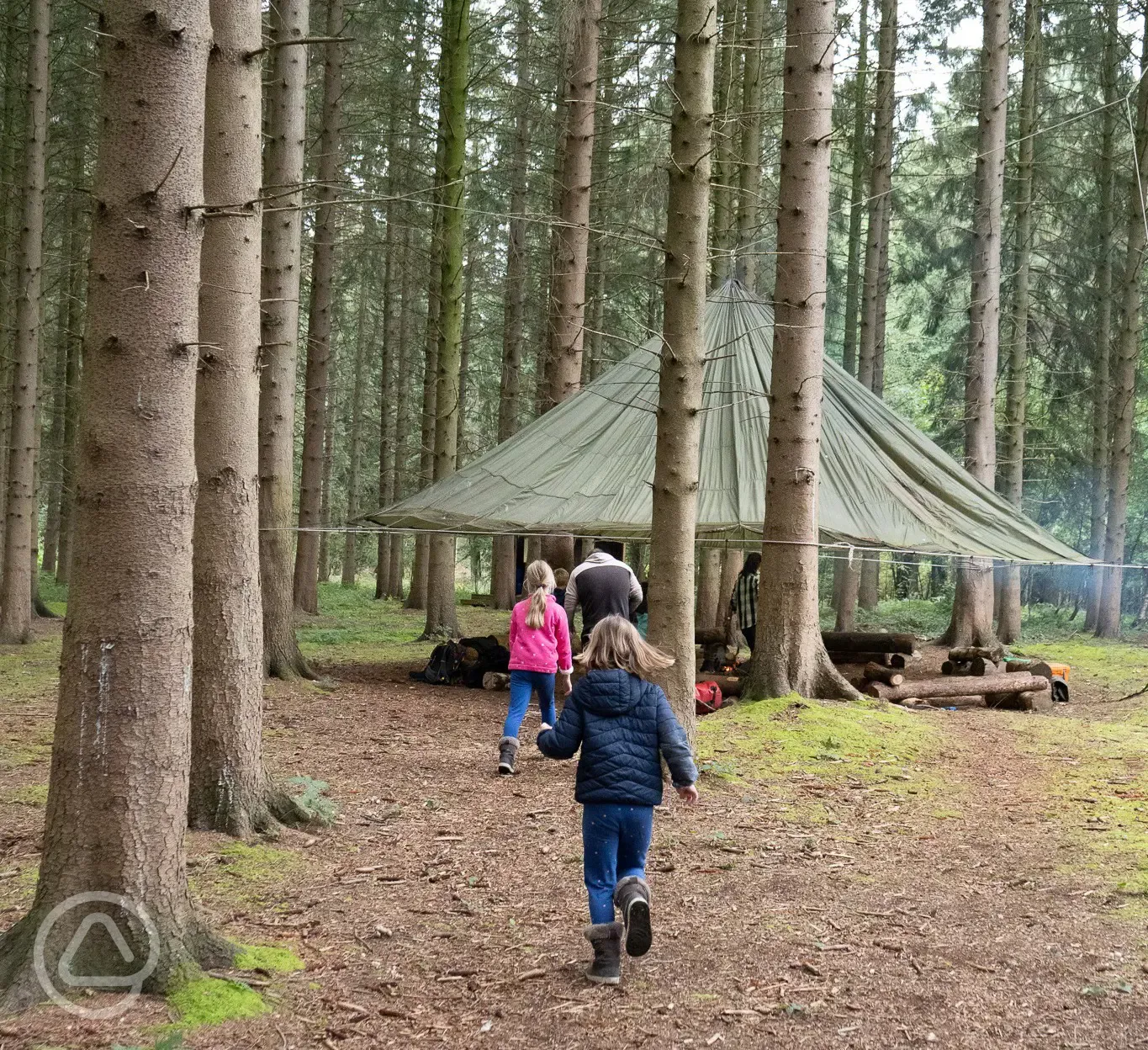 Covered woodland seating area