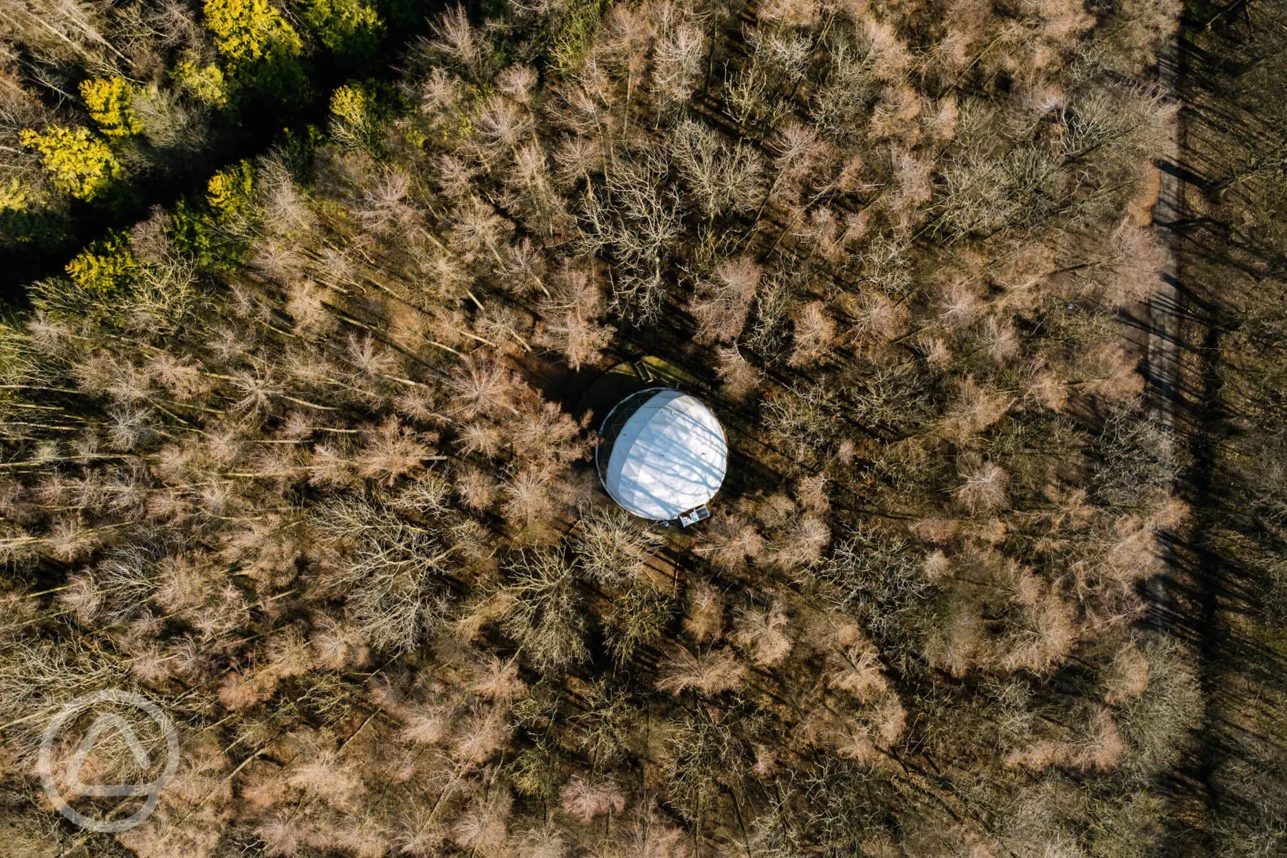 Forest retreat geodome