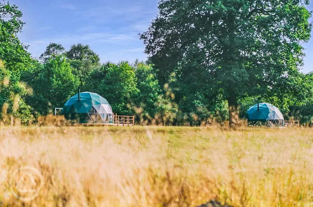 Chestnut Hill geodomes