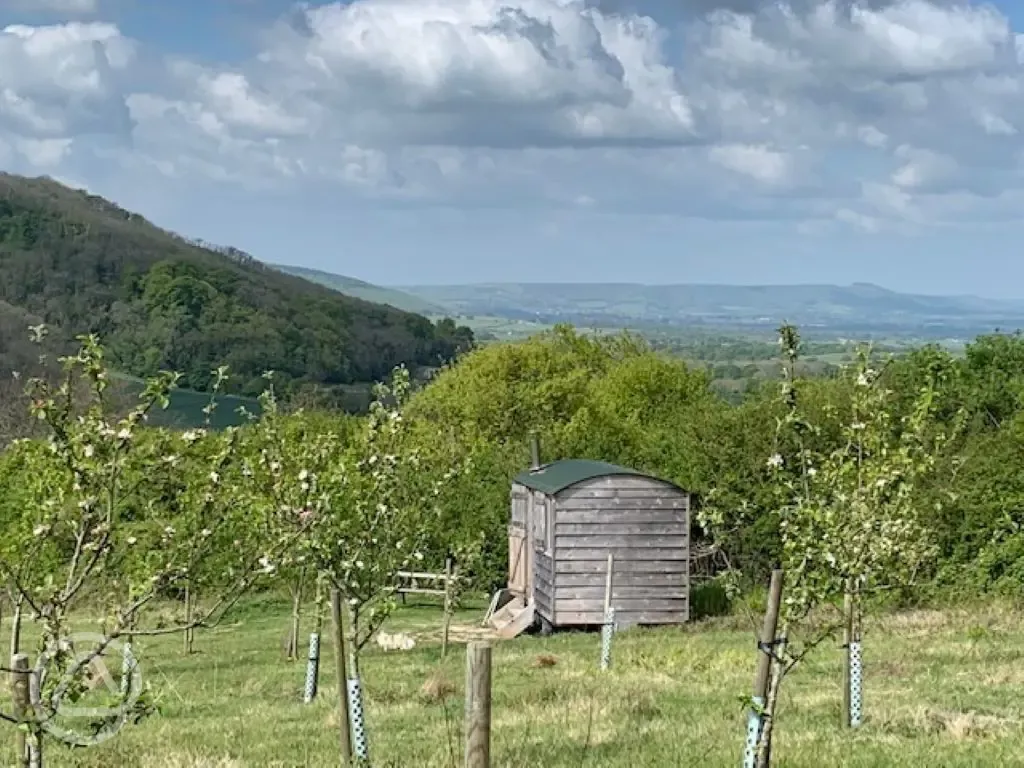 Shepherd's Hut