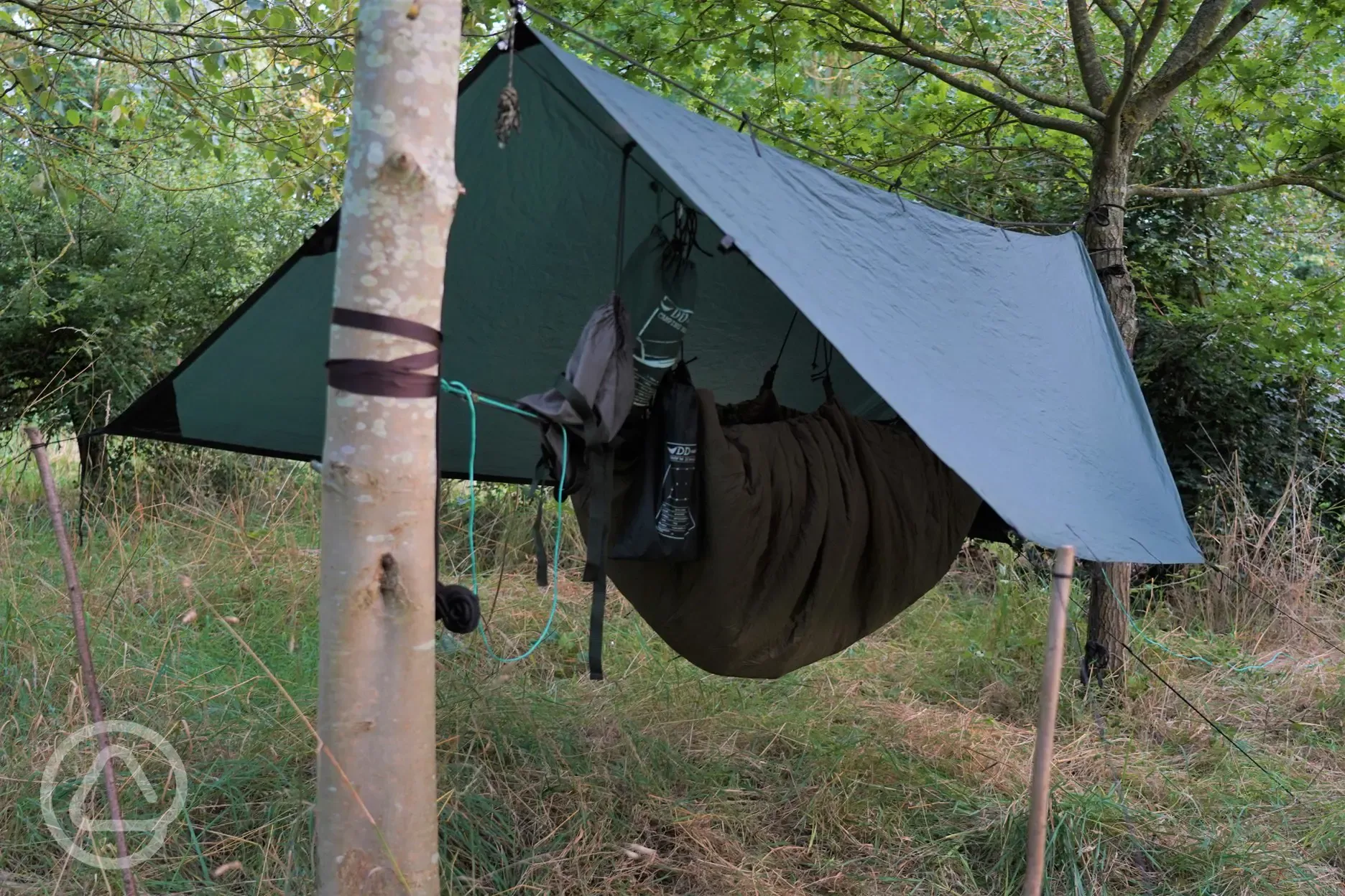 Hammock and woodland camping pitches