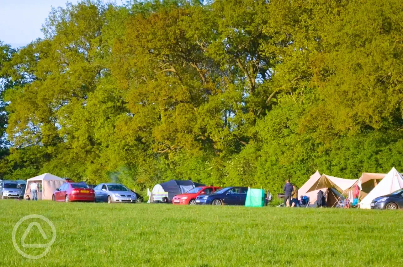 Grass camping pitches