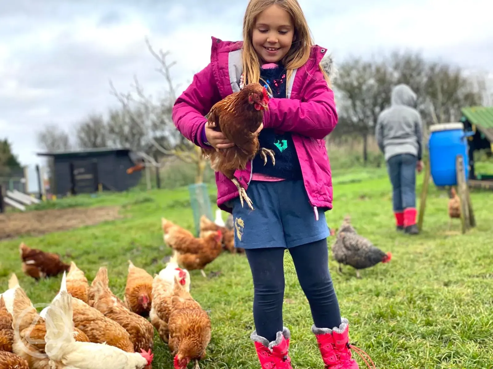 Feeding the onsite animals