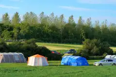 Grass camping pitches at Church Farm