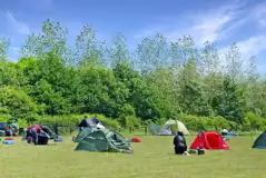 Grass camping pitches