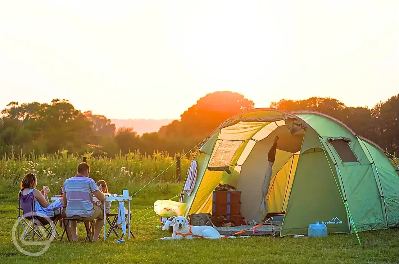 Grass camping pitches