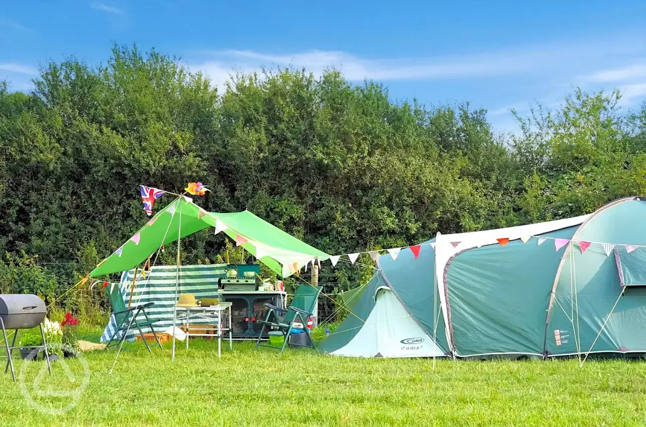 Grass camping pitches