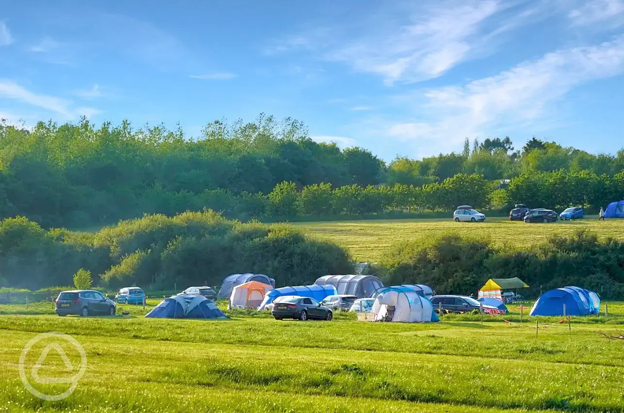 Grass camping pitches