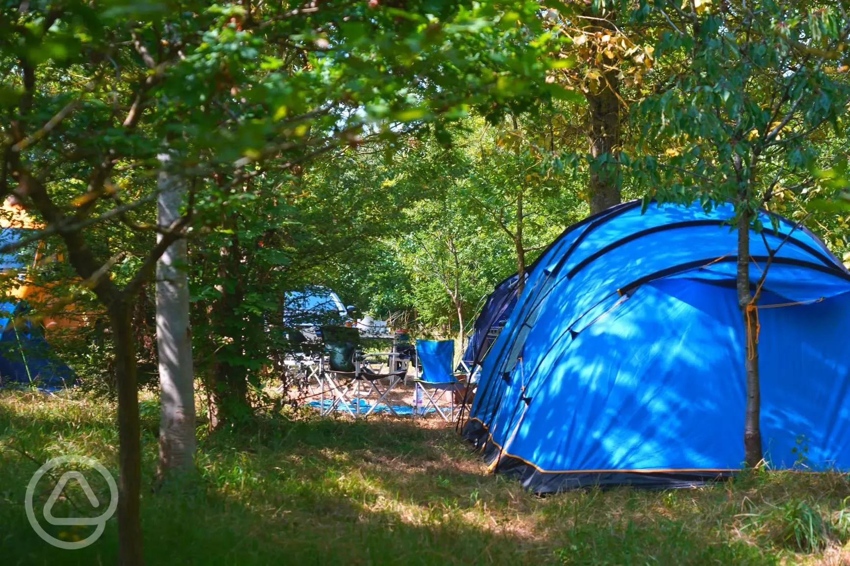 Hammock and woodland camping pitches