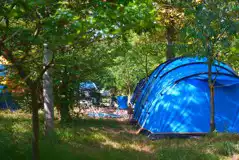 Hammock and woodland camping pitches