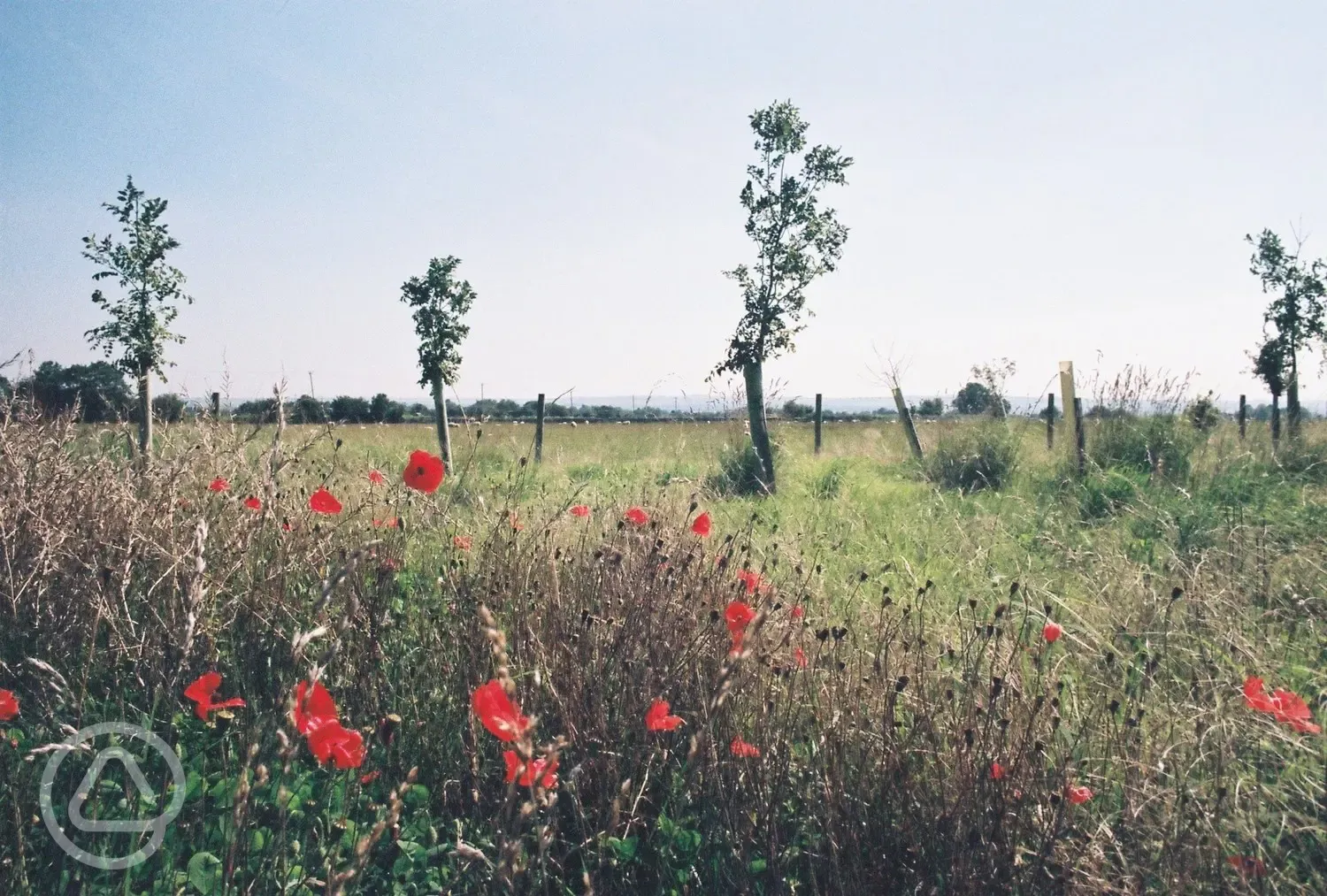 The surroundings of The Farm Camp