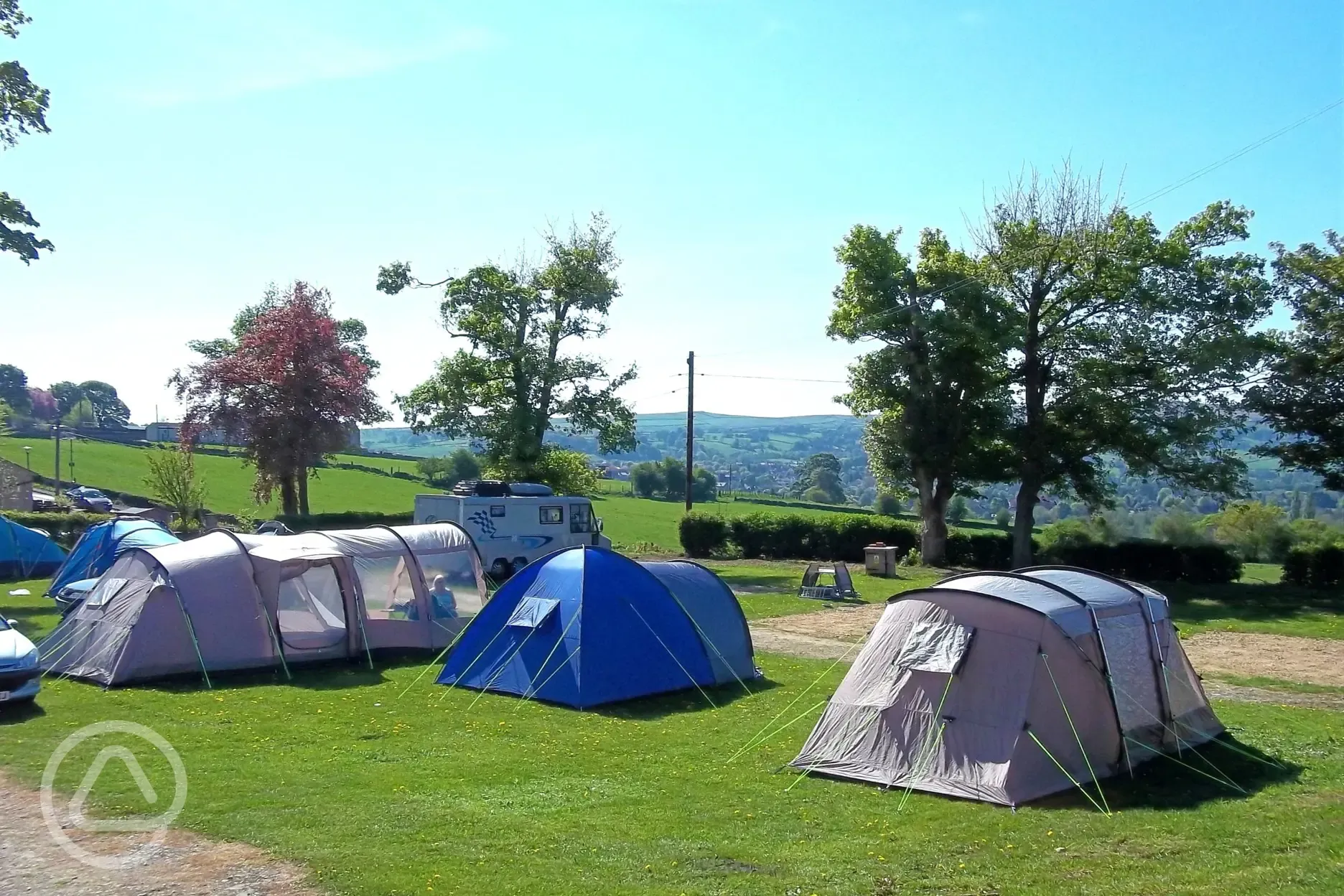 Grass pitches