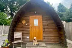 Camping pods (up to two dogs allowed per pod)