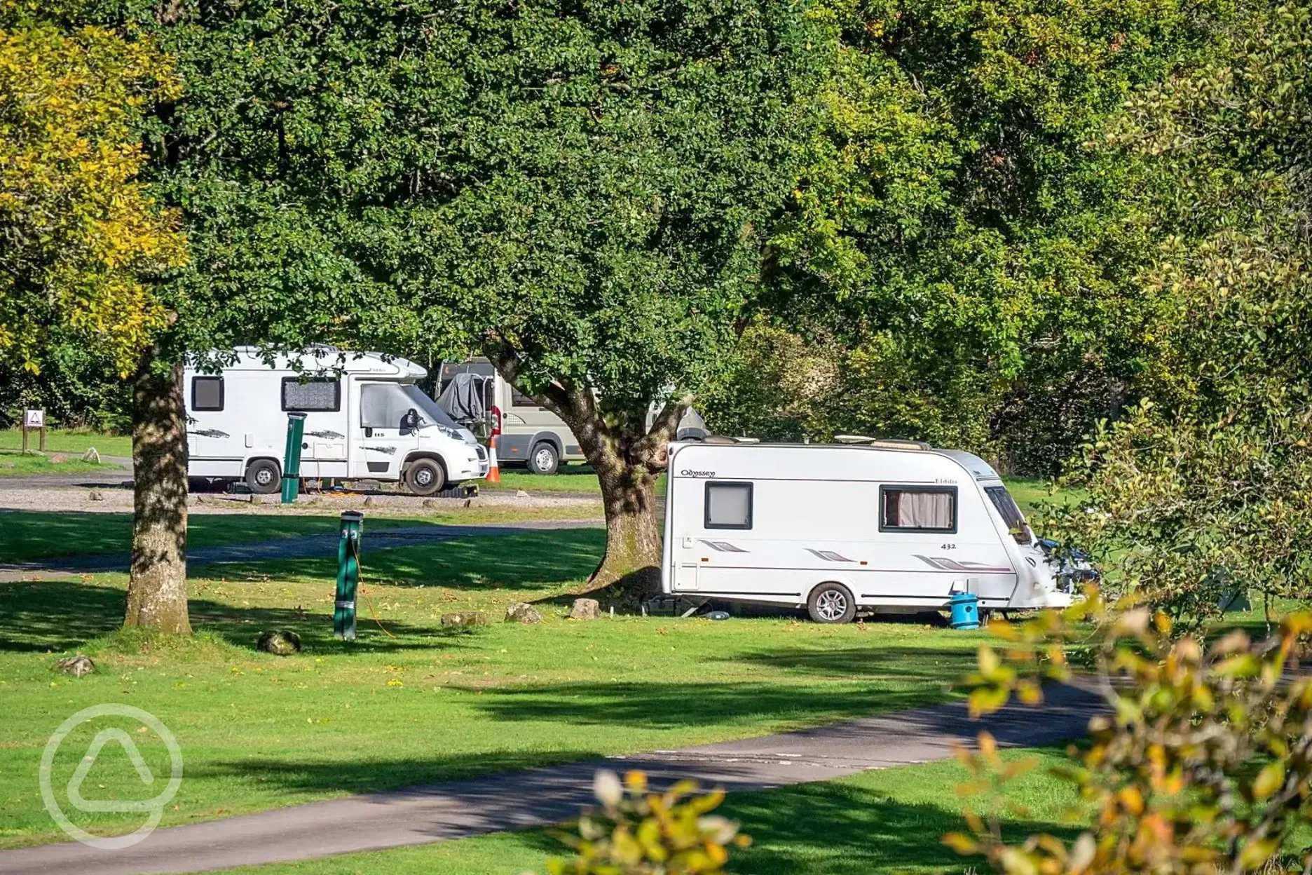 Electric grass pitches under the trees