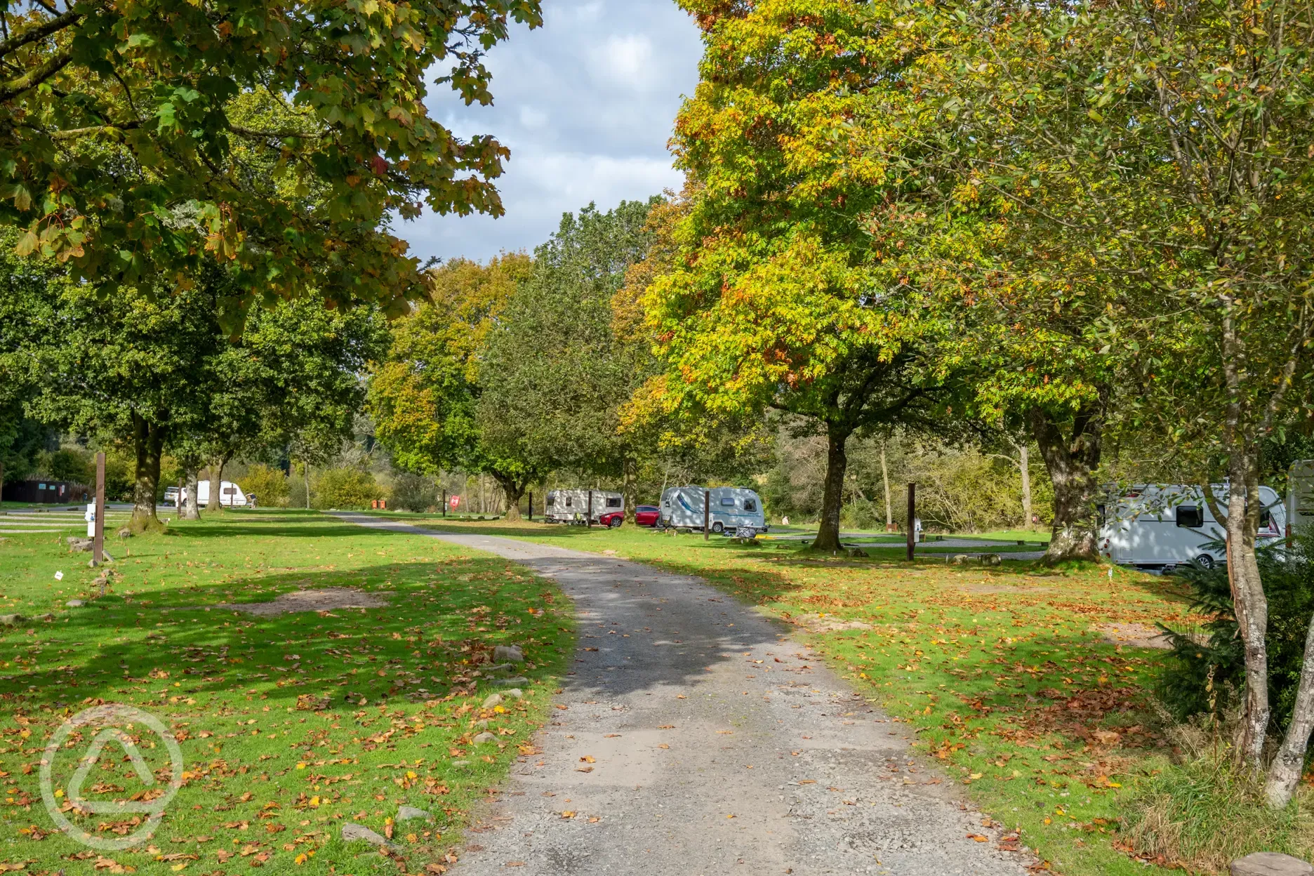 Grass pitches surrounded by trees