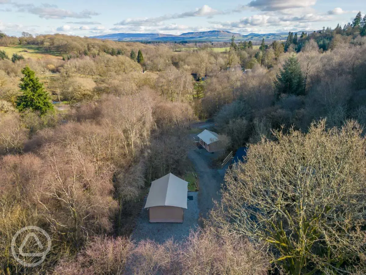 Aerial of safari tents surrounded by trees