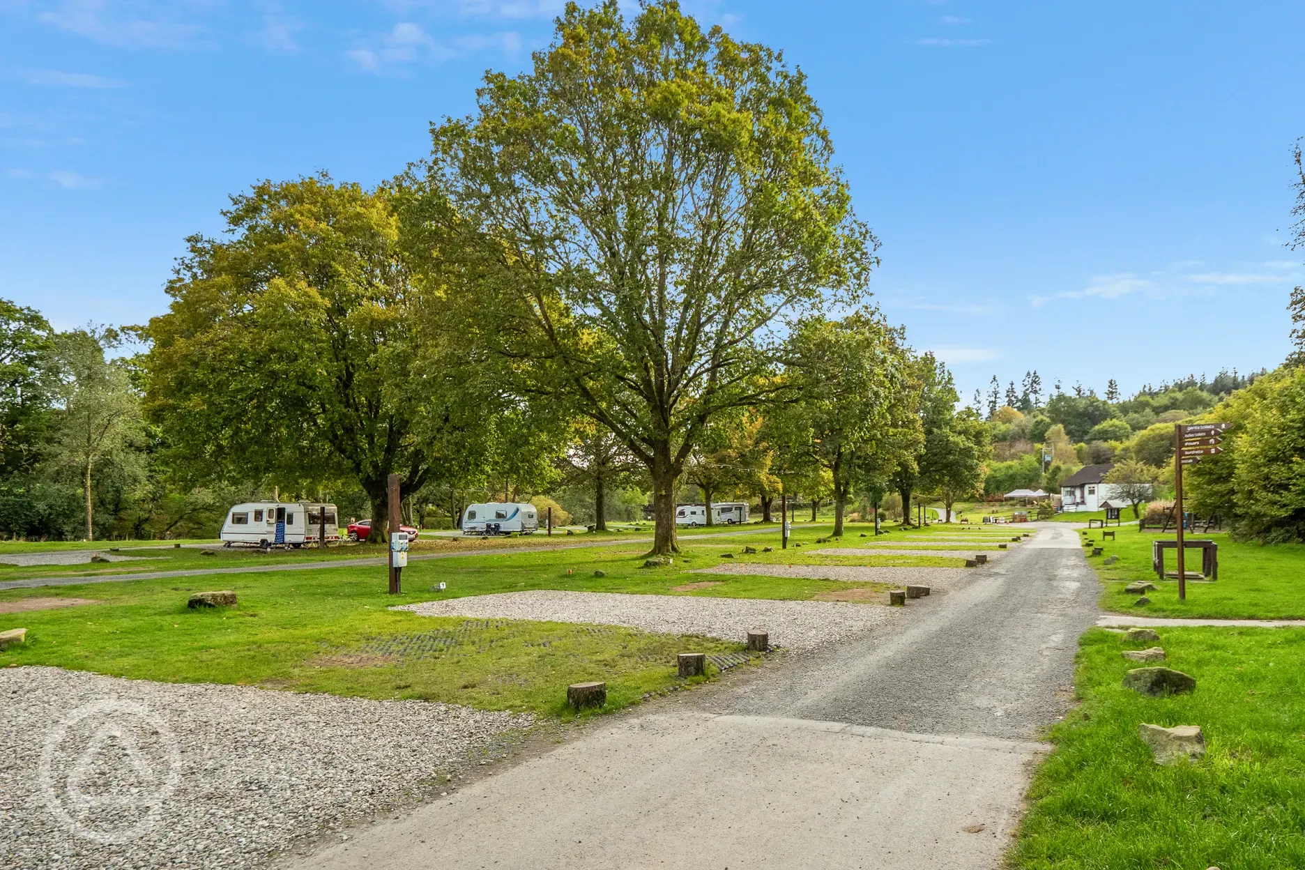 Hardstanding pitches surrounded by trees