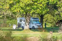 Electric grass pitches for tents, trailer tents, caravans and motorhomes