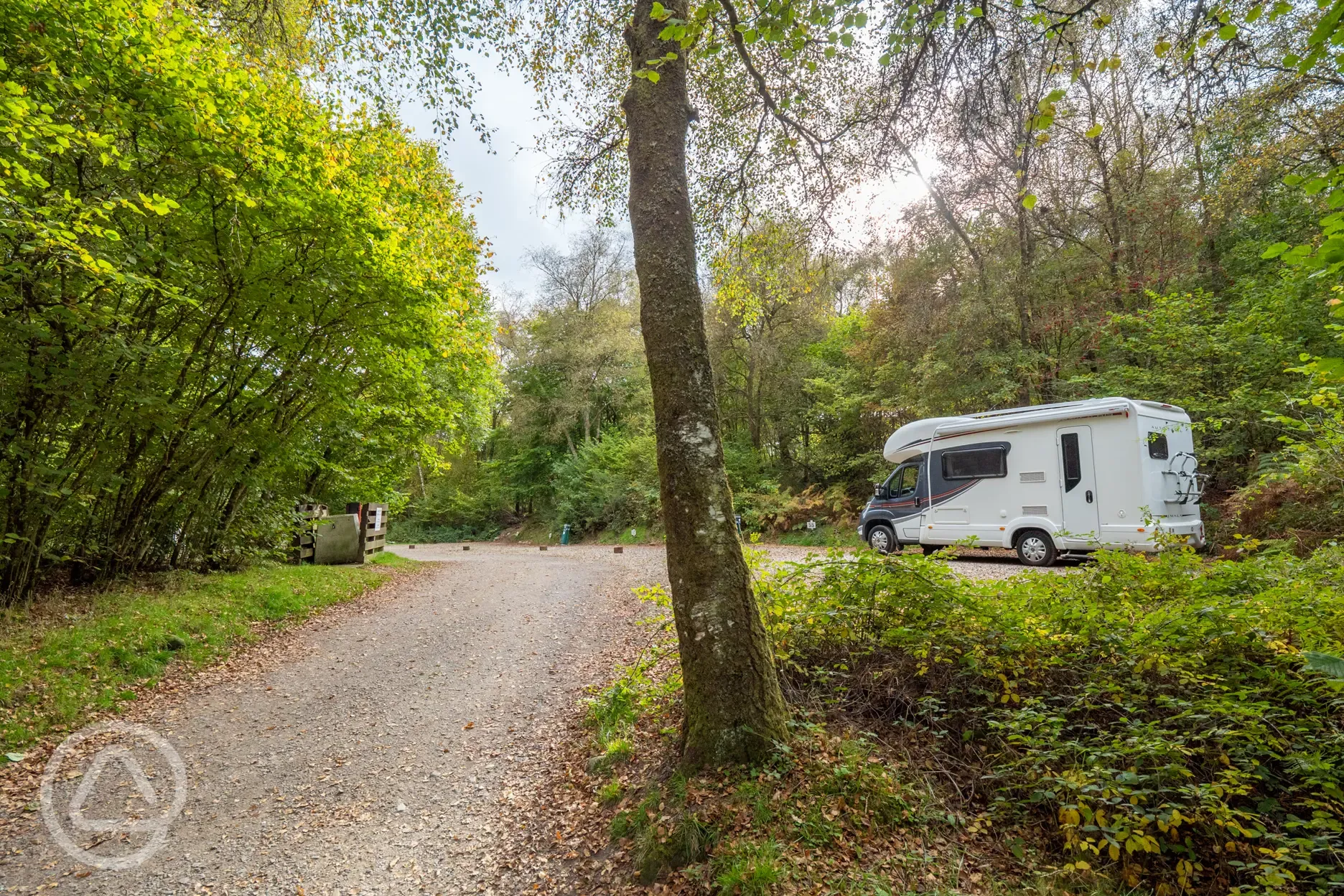 Gravel pitches surrounded by trees