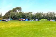 Electric grass pitches (6 and 10 amp hook ups available)