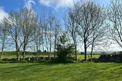 Electric grass pitches (6 and 10 amp hook ups available)