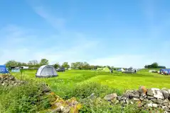 Grass pitches at Common End Farm with non electric and electric options