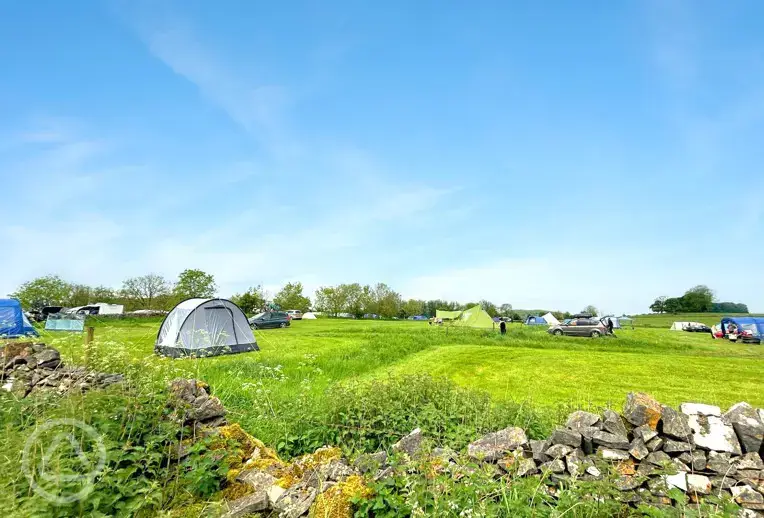 Grass pitches at Common End Farm with non electric and electric options
