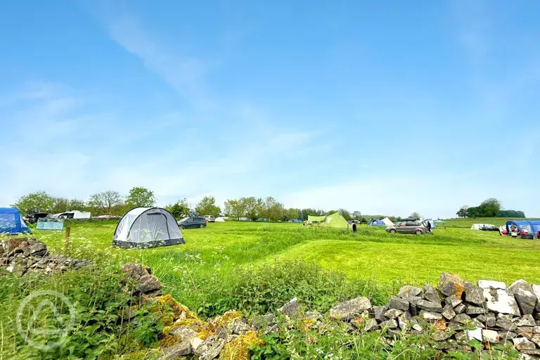 Grass pitches at Common End Farm with non electric and electric options