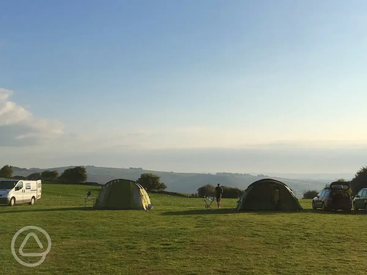 Grass pitches at sunset