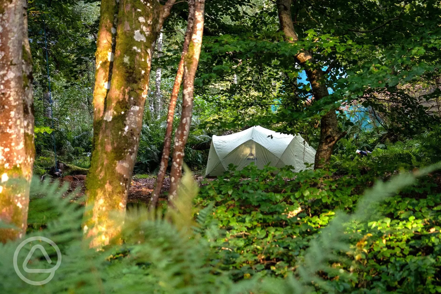 Non electric pitches - Camping Woods