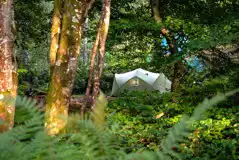 Non electric pitches - Camping Woods