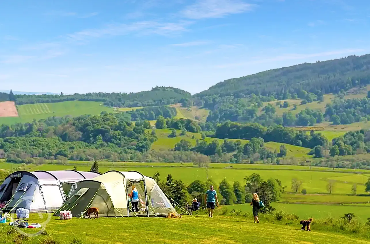 High Meadow pitches