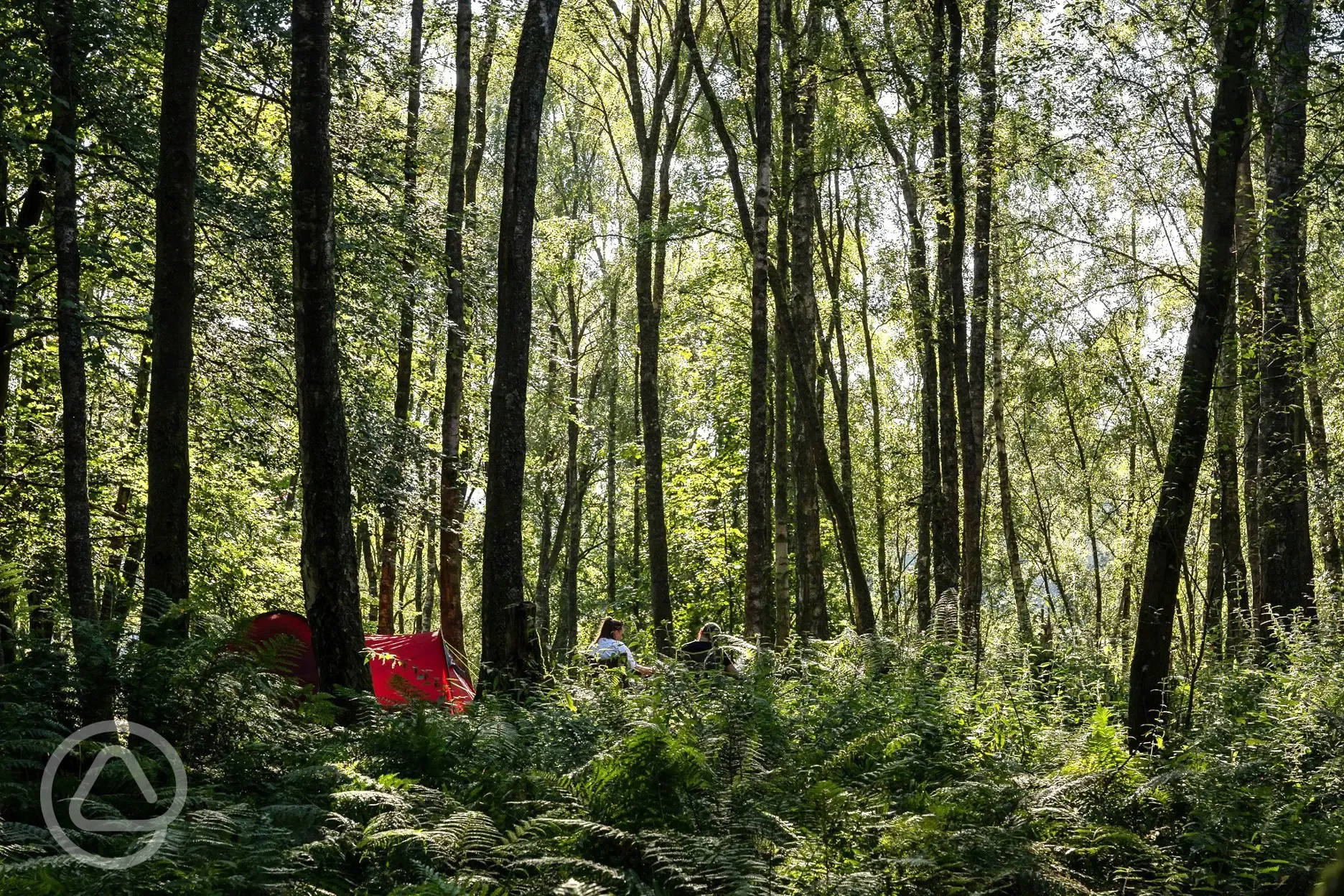 Non electric pitches - Camping Woods