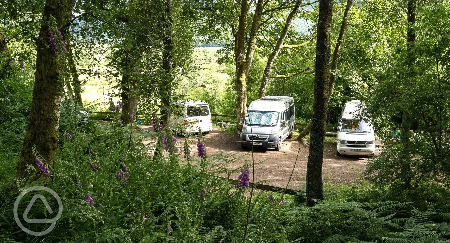 Campervan bay pitches