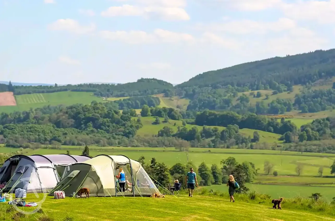 High Meadow pitches