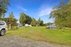 Non electric grass tent pitches (10m x 10m)