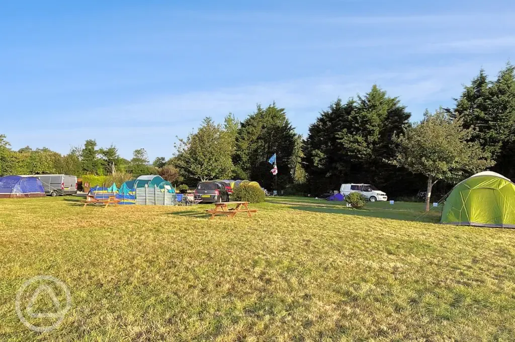 Non electric grass tent pitches