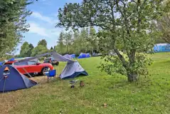 Non electric grass tent pitches surrounded by trees