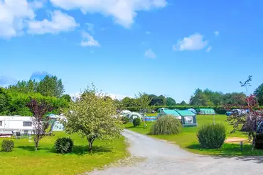 Overview of the camping field at Crane Cross Camping Park