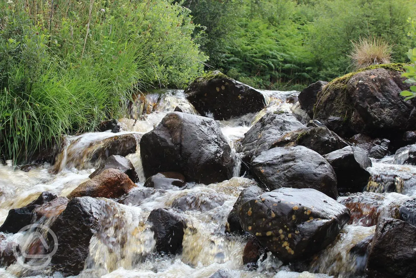 Nearby waterfall