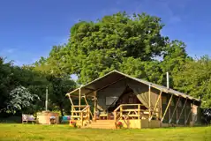 Safari tent