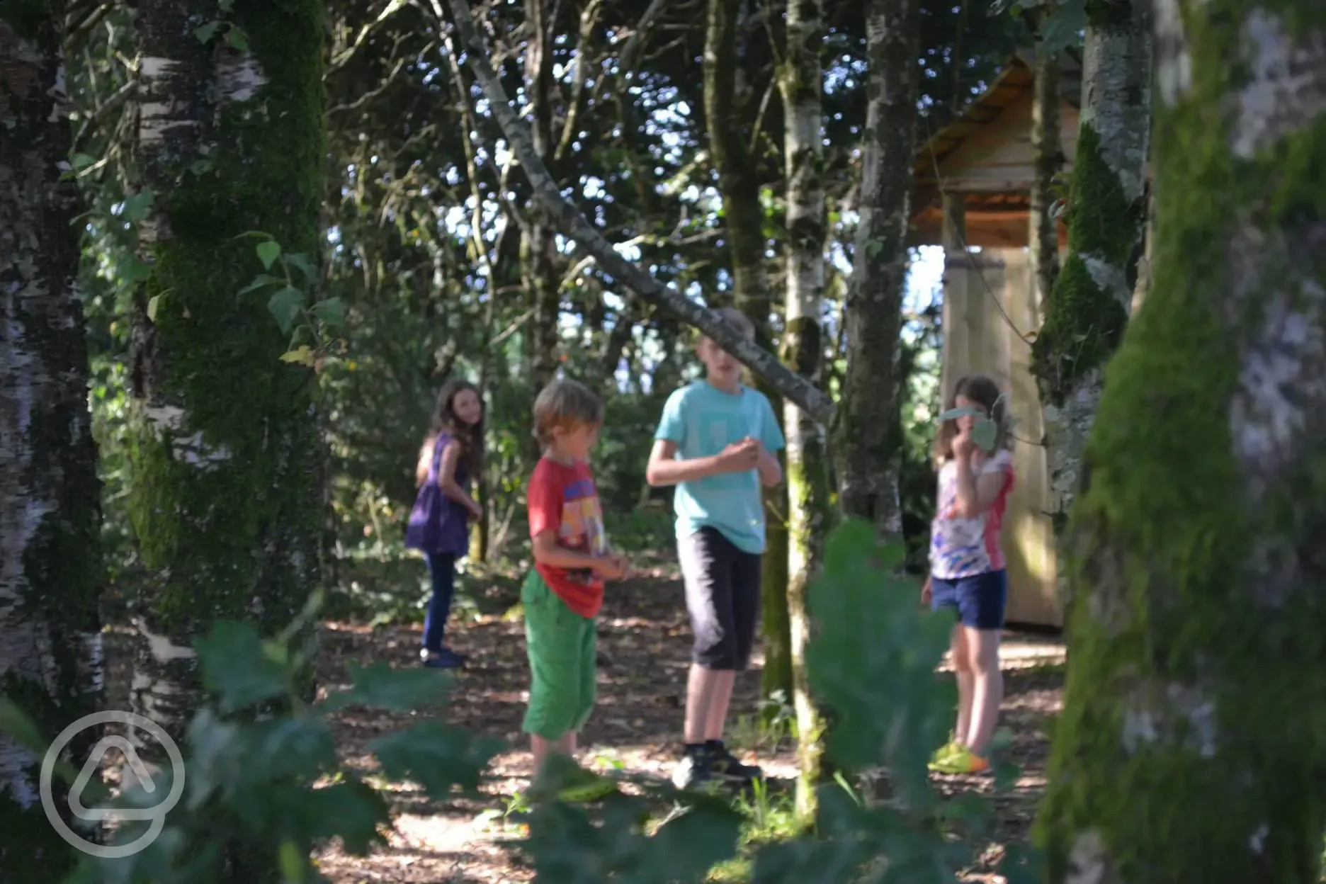 The Woodland Play Area at Denmark Farm Eco Campsite